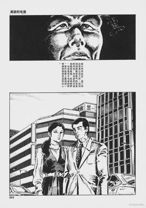 第216頁圖