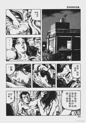 第217頁圖