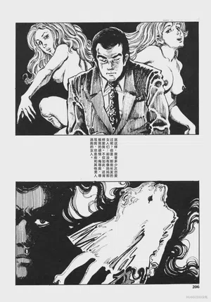 第219頁圖