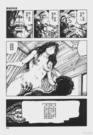 第224頁圖