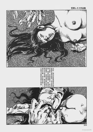 第225頁圖