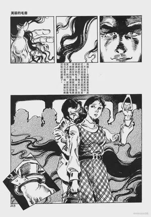 第226頁圖