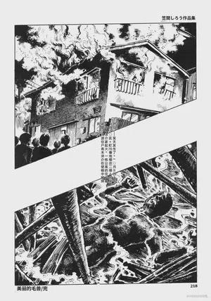 第231頁圖