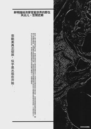 第261頁圖