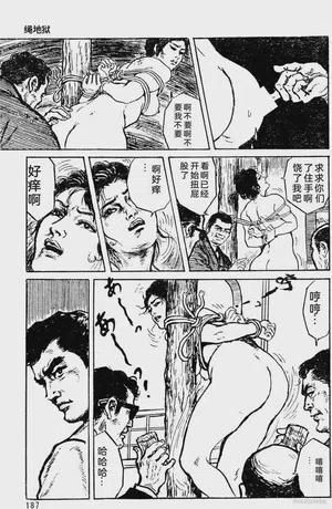 第161頁圖
