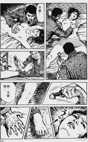 第211頁圖