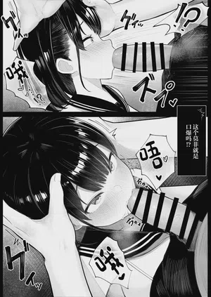 第8页图