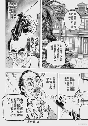 第233页图