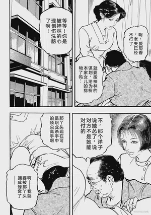 第251页图