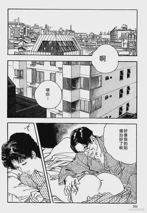 第205頁圖
