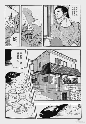 第211頁圖