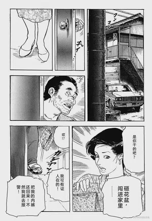 第217頁圖
