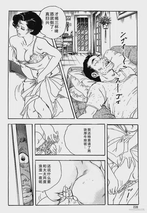 第231頁圖