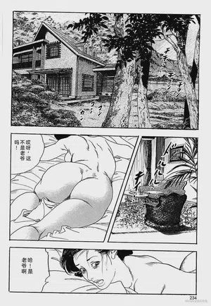 第237頁圖