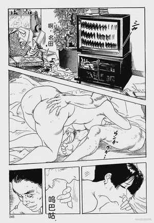 第248頁圖