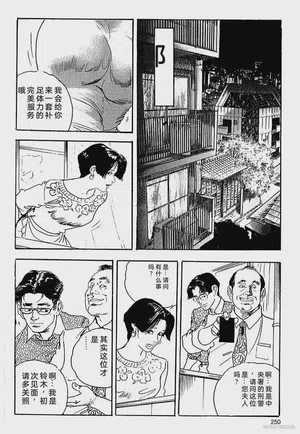第253頁圖