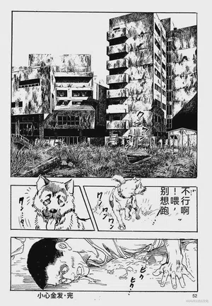 第55頁圖