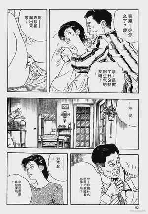 第95頁圖