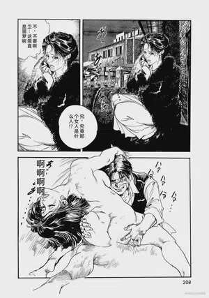 第213頁圖