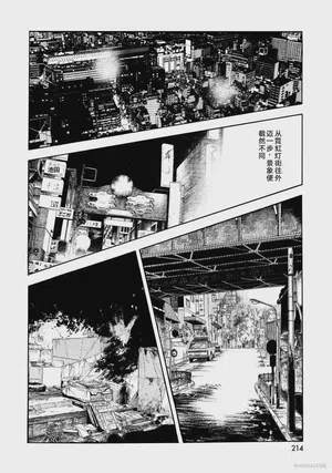 第219頁圖