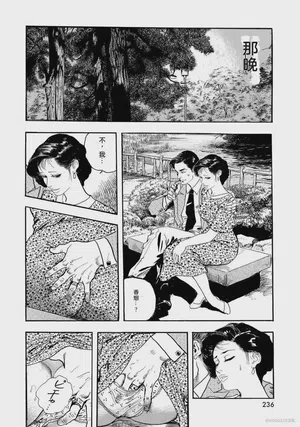 第241頁圖