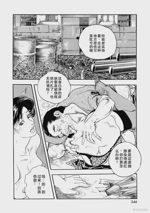 第251頁圖