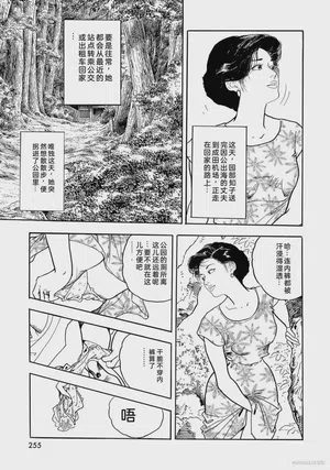 第260頁圖