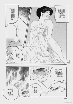 第265頁圖