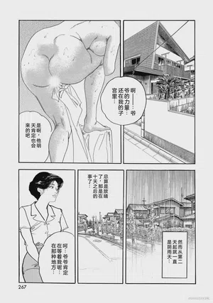 第272頁圖