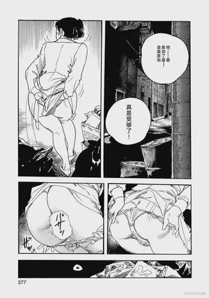 第282頁圖