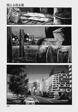 第288頁圖