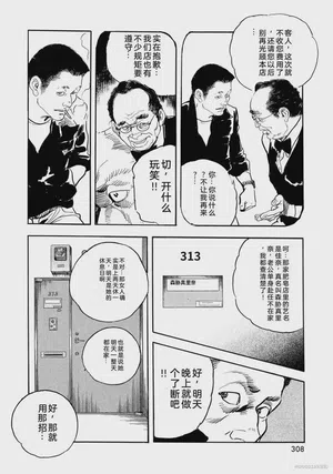 第313頁圖
