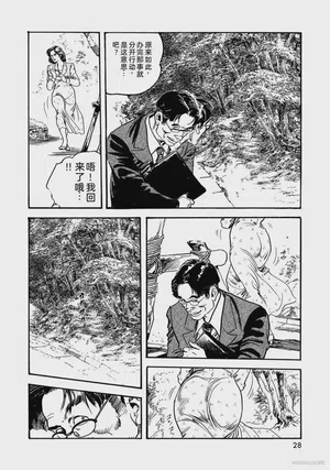 第33頁圖