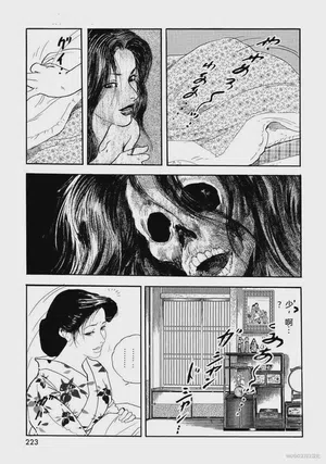 第228頁圖