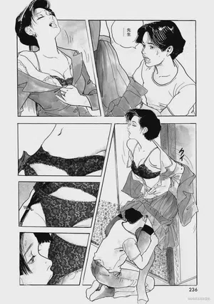 第241頁圖