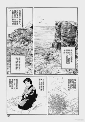 第300頁圖