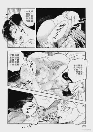 第311頁圖