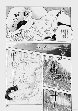 第312頁圖