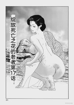 第316頁圖