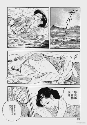 第323頁圖
