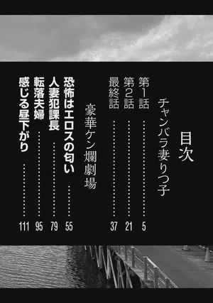 第2页图