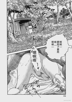第203页图