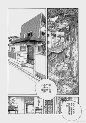 第215页图