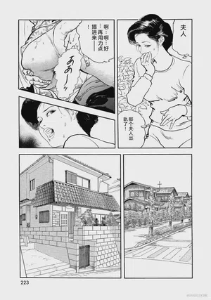 第228页图