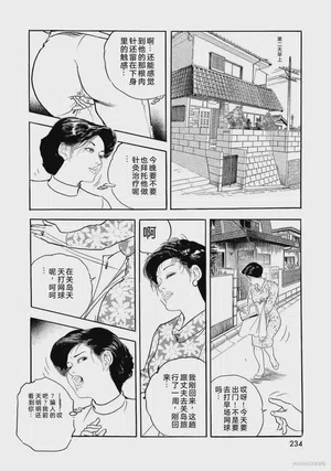 第239页图
