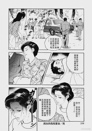第243页图