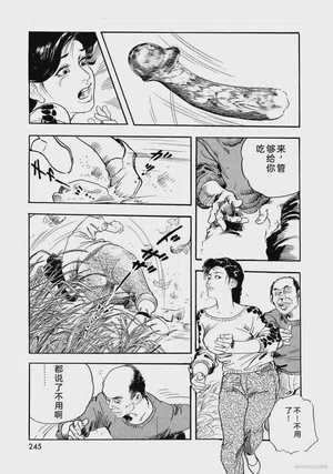 第250页图
