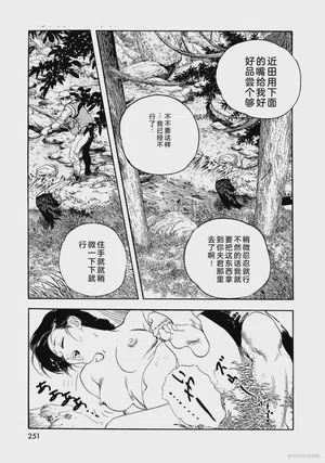 第256页图