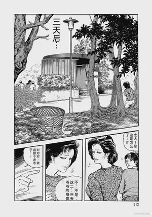 第317页图