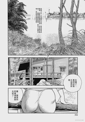 第321页图